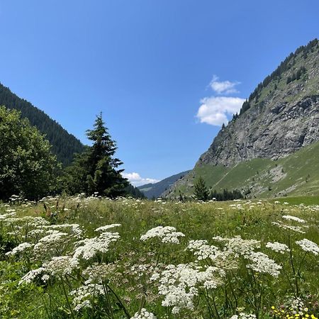 T2 Vue Sur Le Parc De La Vanoise Ла-Плань Экстерьер фото