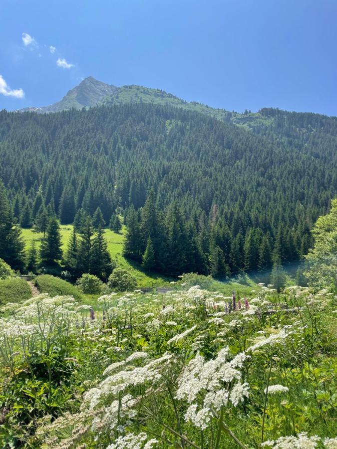 T2 Vue Sur Le Parc De La Vanoise Ла-Плань Экстерьер фото