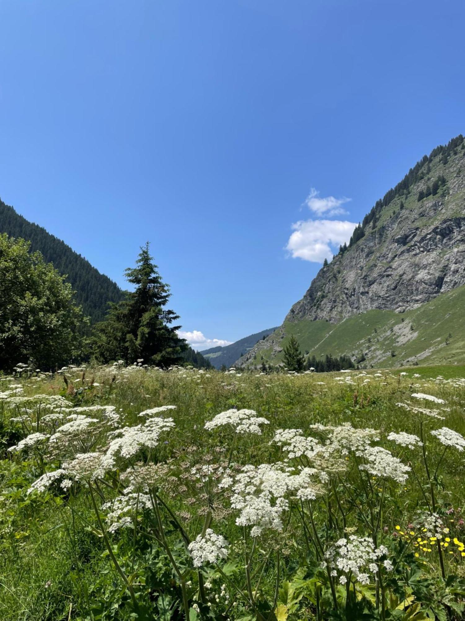 T2 Vue Sur Le Parc De La Vanoise Ла-Плань Экстерьер фото
